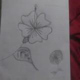 (Category: ) located in . Submitted by jhnsev (Listing ID 1371840903, Image 1). Description: .