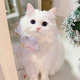 (Category: ) located in . Submitted by hfjdmdndj (Listing ID 1372327589, Image 1). Description: .