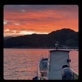 （分類：）位於 。 由 y00hk 提交（商品編號 1373451353，圖片 1）。簡介： 。