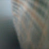 (分類:)位於 。 由 waiho714 提交(商品編號 1232402525,圖片 1)。簡介: 。