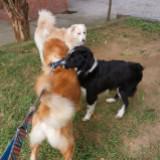 (Category: ) located in . Submitted by horizonx87 (Listing ID 1397610039, Image 1). Description: .