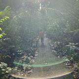 (Category: ) located in . Submitted by Ivysiang (Listing ID 1337893210, Image 1). Description: .