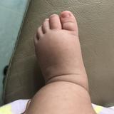 （分類：）位於 。 由 Littlebabystar 提交（商品編號 1195831349，圖片 1）。簡介： 。