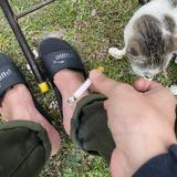 (Category: ) located in . Submitted by almari_roboh (Listing ID 1306797419, Image 1). Description: .