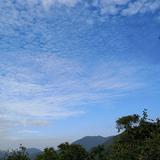 （分類：）位於 。 由 ktycyl 提交（商品編號 1380294149，圖片 1）。簡介： 。