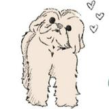 (Category: ) located in . Submitted by thr1ftiness (Listing ID 1366468650, Image 1). Description: .
