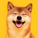由 sweetjohn (刊登 ID 1385391242，圖片 1) 提交，位於 的 (類別：)，說明：。