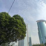 (Kategori: ) berada di . Dikirim oleh cebbe (ID iklan 1384660336, Gambar 1). Deskripsi: .