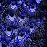(Category: ) located in . Submitted by gigilsunny (Listing ID 1456269885, Image 1). Description: .