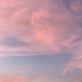 由 thejoyofless (刊登 ID 1194118114，圖片 1) 提交，位於 的 (類別：)，說明：。