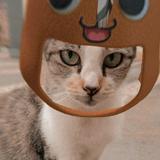 (Kategori: ) berada di . Dikirim oleh _talitha_ (ID iklan 1379483019, Gambar 1). Deskripsi: .