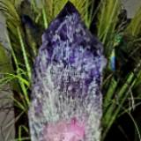 (Category: ) located in . Submitted by wclink (Listing ID 1250978964, Image 1). Description: .