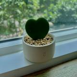 (Category: ) located in . Submitted by cantbetamed (Listing ID 1364369715, Image 1). Description: .