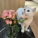 (Category: ) located in . Submitted by soominmin (Listing ID 1314220134, Image 1). Description: .