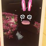 由 zjoe44 (刊登 ID 1384917004，圖片 1) 提交，位於 的 (類別：)，說明：。