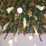 (Category: ) located in . Submitted by mayapaa (Listing ID 1377031790, Image 1). Description: .