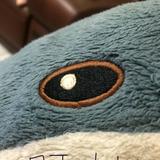 由 jamespans (刊登 ID 1383711425，圖片 1) 提交，位於 的 (類別：)，說明：。
