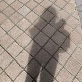 由 lxzz123 (刊登 ID 1383561042，圖片 1) 提交，位於 的 (類別：)，說明：。