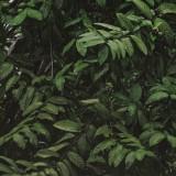 (Category: ) located in . Submitted by klasik_ (Listing ID 1194203909, Image 1). Description: .