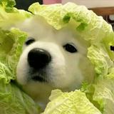 由 imkekeshiuan (刊登 ID 1386184245，圖片 1) 提交，位於 的 (類別：)，說明：。