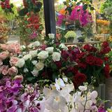 (Category: ) located in . Submitted by n4col8 (Listing ID 1350787896, Image 1). Description: .