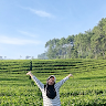 (Kategori: ) berada di . Dikirim oleh citramaharsi (ID iklan 1344876210, Gambar 1). Deskripsi: .
