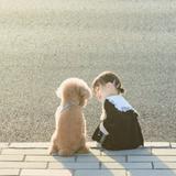 (分類:)位於 。 由 wysell03 提交(商品編號 1462503036,圖片 1)。簡介: 。
