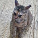 (Kategori: ) berada di . Dikirim oleh clickcee (ID iklan 1194391761, Gambar 1). Deskripsi: .