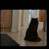 (Category: ) located in . Submitted by pamkc (Listing ID 1206418816, Image 1). Description: .