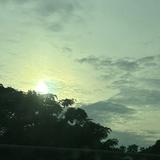 (Category: ) located in . Submitted by svrxxa (Listing ID 1453996537, Image 1). Description: .