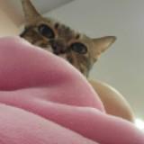 (Category: ) located in . Submitted by Jamesy (Listing ID 1376253615, Image 1). Description: .