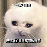 由 vigato (刊登 ID 1327460247，圖片 1) 提交，位於 的 (類別：)，說明：。