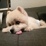 (Category: ) located in . Submitted by kanok24 (Listing ID 1194054005, Image 1). Description: .