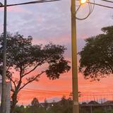 (Category: ) located in . Submitted by aqil4h (Listing ID 1419213243, Image 1). Description: .