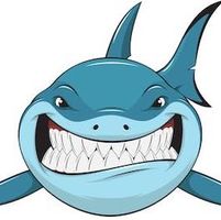 (Category: ) located in . Submitted by shark_imports (Listing ID 1465278579, Image 1). Description: .