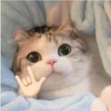 (Category: ) located in . Submitted by sleepinglate (Listing ID 1377459410, Image 1). Description: .
