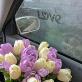 (Category: ) located in . Submitted by farhanasr (Listing ID 1470823101, Image 1). Description: .