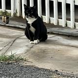 (Category: ) located in . Submitted by azit74 (Listing ID 1463051871, Image 1). Description: .