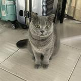由 cfliou (刊登 ID 1381507541，圖片 1) 提交，位於 的 (類別：)，說明：。