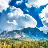 (Category: ) located in . Submitted by LiTtLe_Piggy (Listing ID 1386178802, Image 1). Description: .