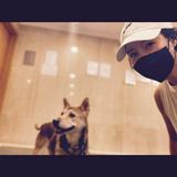 （分類：）位於 。 由 Petboarding 提交（商品編號 1200279431，圖片 1）。簡介： 。