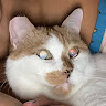 （分類：）位於 。 由 devildennis 提交（商品編號 1367426668，圖片 1）。簡介： 。