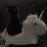 (Category: ) located in . Submitted by donutsarecool (Listing ID 1355460582, Image 1). Description: .