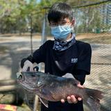 (Category: ) located in . Submitted by isaachenjh (Listing ID 1256339348, Image 1). Description: .