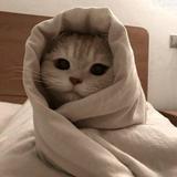 (Category: ) located in . Submitted by craftyworks (Listing ID 1470706378, Image 1). Description: .