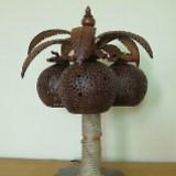 (Kategori: ) berada di . Dikirim oleh adzky.handicrafts (ID iklan 1195547394, Gambar 1). Deskripsi: .