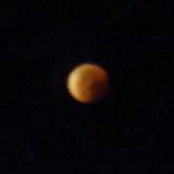 (Category: ) located in . Submitted by md185 (Listing ID 1366385639, Image 1). Description: .