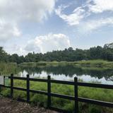 (Category: ) located in . Submitted by dendeb (Listing ID 1364783599, Image 1). Description: .