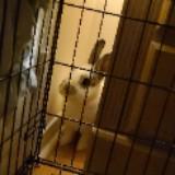 (Category: ) located in . Submitted by Marlee (Listing ID 1378025314, Image 1). Description: .