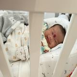 （分類：）位於 。 由 dadahon 提交（商品編號 1375847453，圖片 1）。簡介： 。